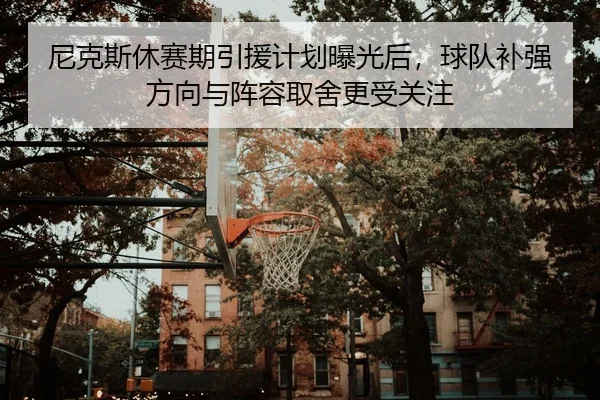 尼克斯休赛期引援计划曝光后，球队补强方向与阵容取舍更受关注